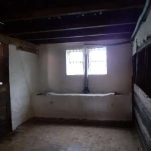 IMG-20210728-WA0019