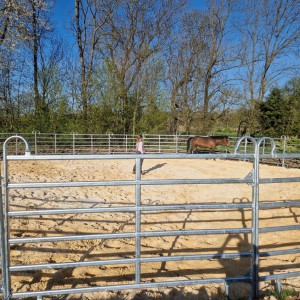 Roundpen